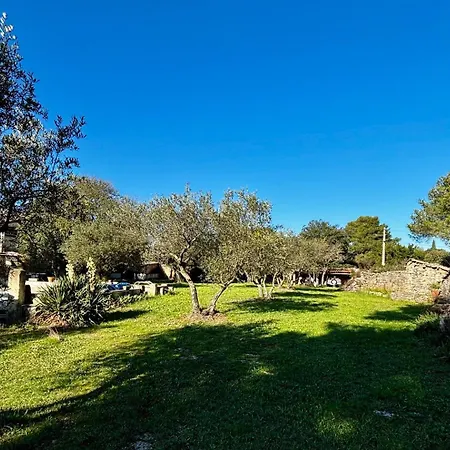 Au Mas Hebrard - Oliveraie Provencale * 尼姆